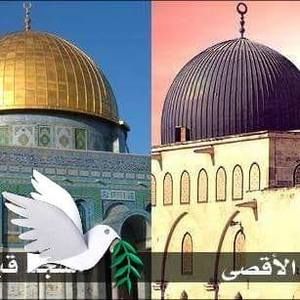 Meet your Posher, Mostafa